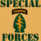 US Special Forces