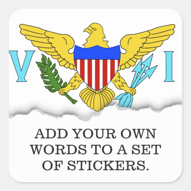 US Virgin Islands flag Square Sticker (Front)
