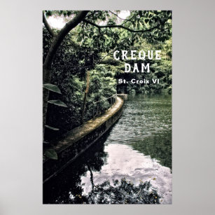  US Virgin Islands Rain Forest Creque Dam USVI  Poster