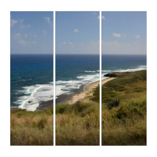 US Virgin Islands St. Croix Caribbean Sea Beach Triptych