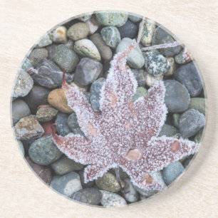 Us, Wa, Bainbridge Island. Early Morning Frost 2 Coaster
