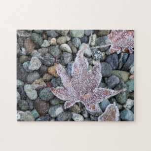 Us, Wa, Bainbridge Island. Early Morning Frost 2 Jigsaw Puzzle