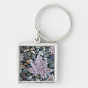 Us, Wa, Bainbridge Island. Early Morning Frost 2 Key Ring