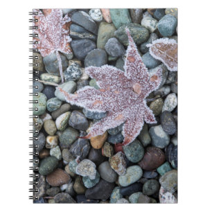 Us, Wa, Bainbridge Island. Early Morning Frost 2 Notebook
