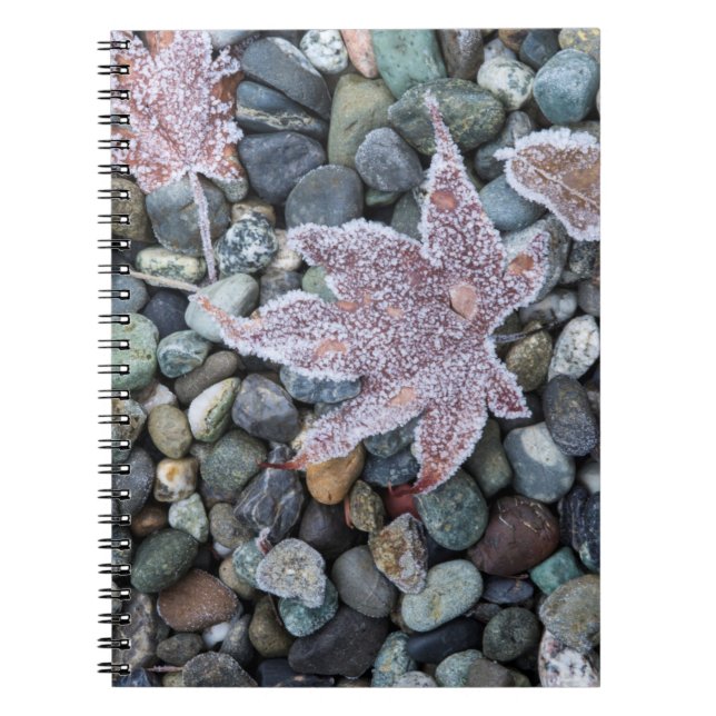 Us, Wa, Bainbridge Island. Early Morning Frost 2 Notebook (Front)
