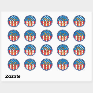 USA 250 Freedom Anniversary 1776-2026 Classic Round Sticker