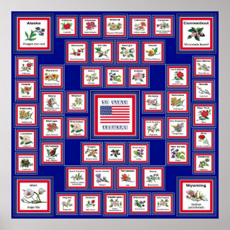 USA 50 STATE FLOWERS BLUE/558 POSTER