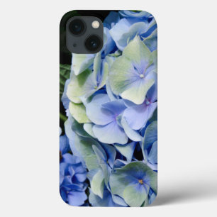 USA, Alabama, Theodore Near Mobile 2 iPhone 13 Case
