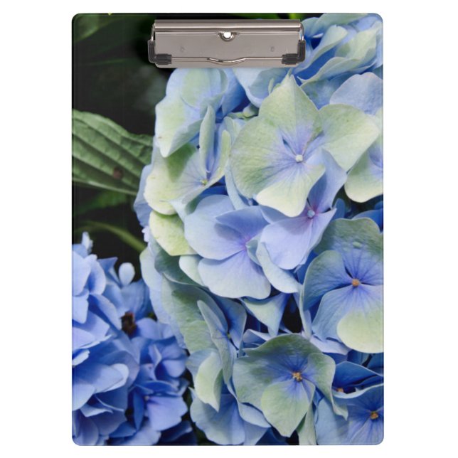 USA, Alabama, Theodore Near Mobile 2 Clipboard (Front)