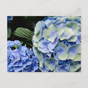 USA, Alabama, Theodore Near Mobile 2 Postcard