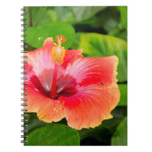 USA, Alabama, Theodore Near Mobile 4 Notebook