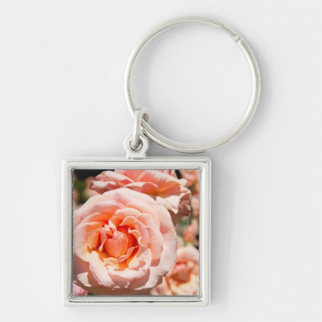 USA, Alabama, Theodore Near Mobile 5 Key Ring (Front)