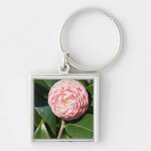 USA, Alabama, Theodore Near Mobile Key Ring