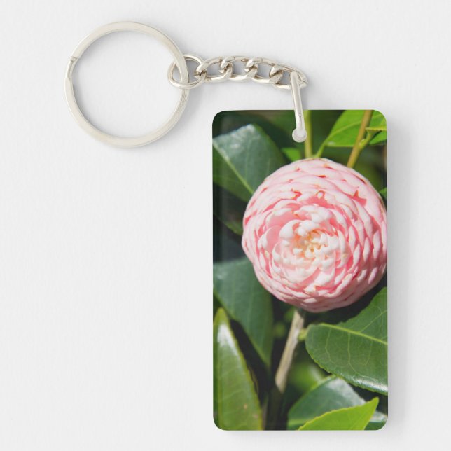 USA, Alabama, Theodore Near Mobile Key Ring (Front)