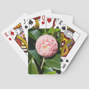 USA, Alabama, Theodore Near Mobile Playing Cards