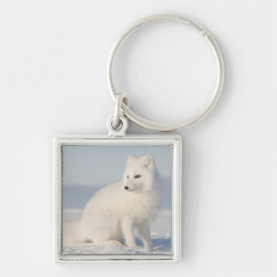 USA, Alaska, 1002 Coastal Plain of the Arctic 5 Key Ring