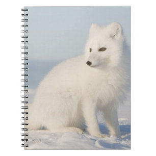 USA, Alaska, 1002 Coastal Plain of the Arctic 5 Notebook