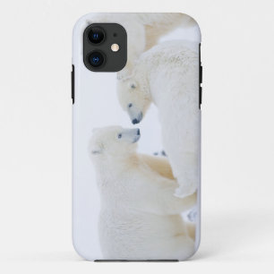 USA, Alaska, 1002 Coastal Plain of the Arctic iPhone 11 Case