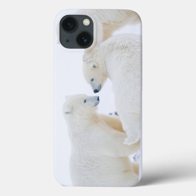 USA, Alaska, 1002 Coastal Plain of the Arctic Case-Mate iPhone Case (Back)