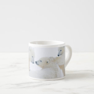 USA, Alaska, 1002 Coastal Plain of the Arctic Espresso Cup