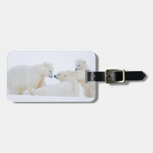 USA, Alaska, 1002 Coastal Plain of the Arctic Luggage Tag