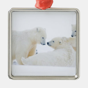 USA, Alaska, 1002 Coastal Plain of the Arctic Metal Ornament
