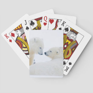 USA, Alaska, 1002 Coastal Plain of the Arctic Playing Cards