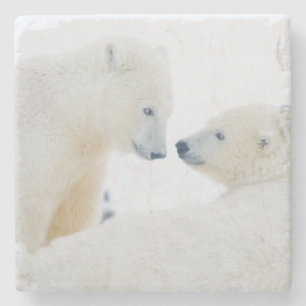 USA, Alaska, 1002 Coastal Plain of the Arctic Stone Coaster