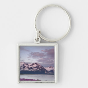 USA, Alaska, Alsek River Valley. View of Alsek Key Ring