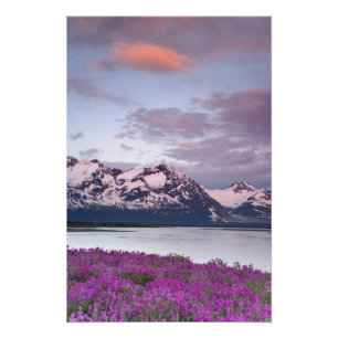 USA, Alaska, Alsek River Valley. View of Alsek Photo Print
