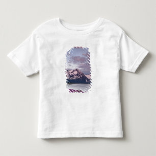 USA, Alaska, Alsek River Valley. View of Alsek Toddler T-Shirt