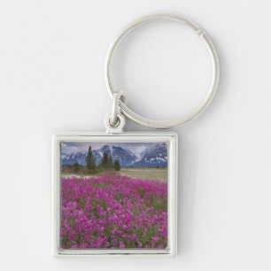 USA, Alaska, Alsek River Valley. View of Key Ring