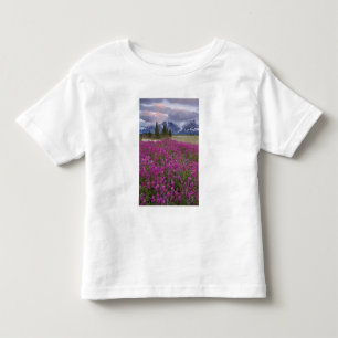 USA, Alaska, Alsek River Valley. View of Toddler T-Shirt