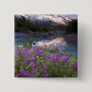 USA, Alaska, Alsek-Tatshenshini Wilderness. 15 Cm Square Badge