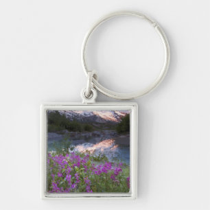 USA, Alaska, Alsek-Tatshenshini Wilderness. Key Ring