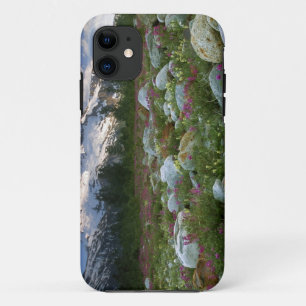 USA, Alaska, Alsek-Tatshenshini Wilderness. View iPhone 11 Case