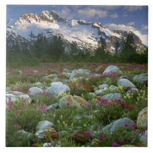 USA, Alaska, Alsek-Tatshenshini Wilderness. View Ceramic Tile