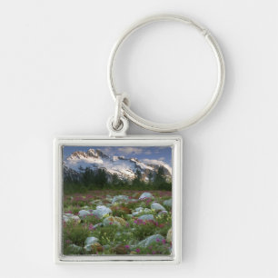 USA, Alaska, Alsek-Tatshenshini Wilderness. View Key Ring