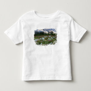USA, Alaska, Alsek-Tatshenshini Wilderness. View Toddler T-Shirt