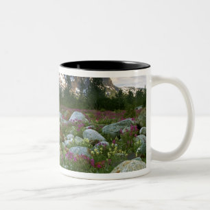 USA, Alaska, Alsek-Tatshenshini Wilderness. View Two-Tone Coffee Mug