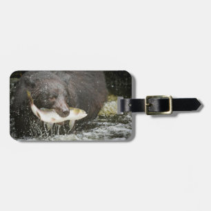 USA, Alaska, Anan Creek. Close-Up Of Black Bear Luggage Tag