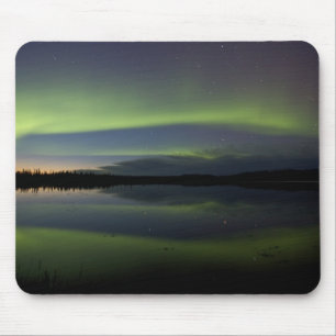 USA, Alaska, Arctic Circle, Bettles. The Mouse Pad