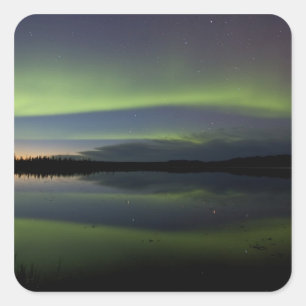 USA, Alaska, Arctic Circle, Bettles. The Square Sticker