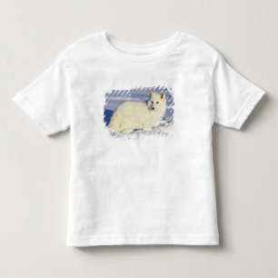 USA, Alaska. Arctic fox in winter coat Toddler T-Shirt
