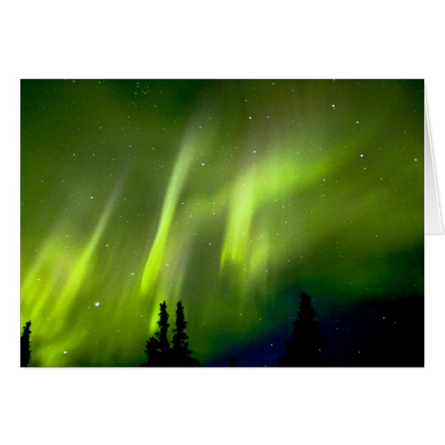 USA, Alaska, Chena Hot Springs. Aurora 3 (Front Horizontal)