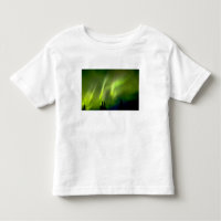 USA, Alaska, Chena Hot Springs. Aurora 3