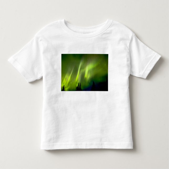 USA, Alaska, Chena Hot Springs. Aurora 3 Toddler T-Shirt (Front)