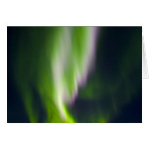 USA, Alaska, Chena Hot Springs. Aurora Borealis