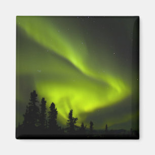 USA, Alaska, Chena Hot Springs. Aurora Borealis 2 Magnet