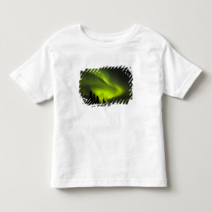 USA, Alaska, Chena Hot Springs. Aurora Borealis 2 Toddler T-Shirt